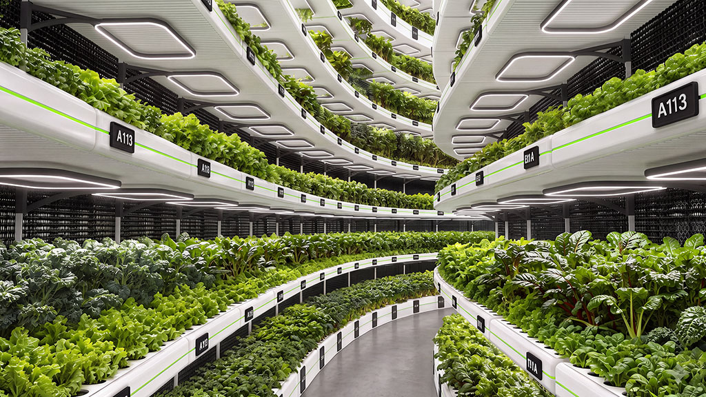 A large indoor planter garden.
