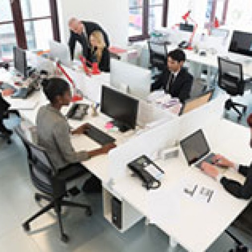 A group of people in an office.