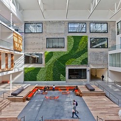 A building with a green wall.