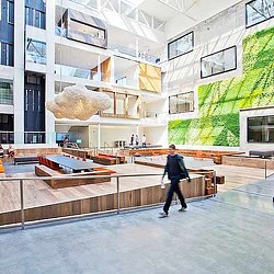 A person walking on a sidewalk.