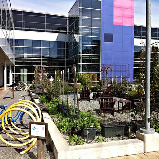 A garden in front of a building.