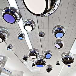 A group of circular objects.