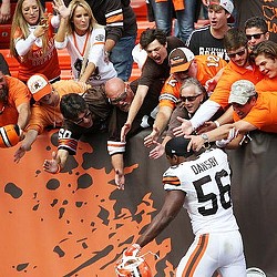 Section 508 at Cleveland Browns Stadium 