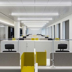 An empty office with yellow chairs.