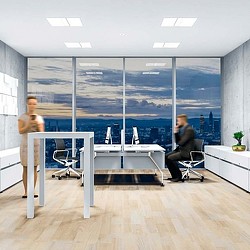 A man and a woman in an office.