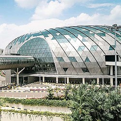 A large glass building.