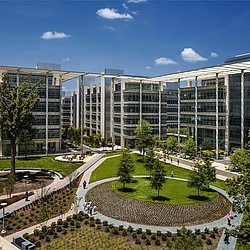 A courtyard with trees and buildings around it.