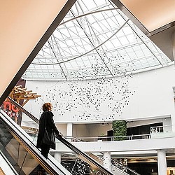 A person walking down a flight of stairs.