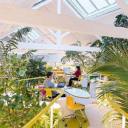 A couple of people working on computers.