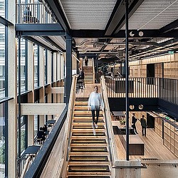 A long staircase in a building.