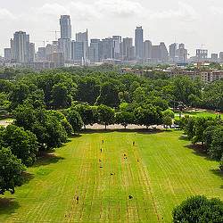 A park with trees and a city in the background.