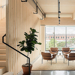 A room with a plant and chairs.