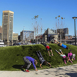 A group of people doing yoga.