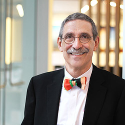 A man wearing a suit and bow tie.