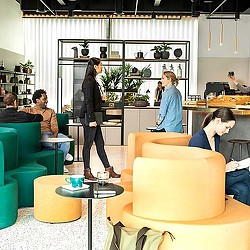 A group of people in a room.