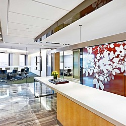 Commercial Law Firm, Boston