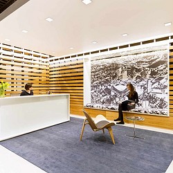 A person painting on a wall.