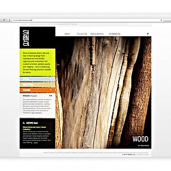 Graphical user interface, website.