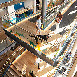 People walking down a escalator.