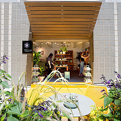 MOMENT at San Pedro Square