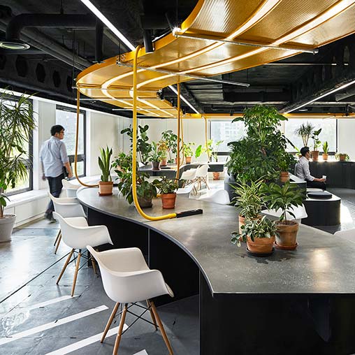 A table with chairs and plants.