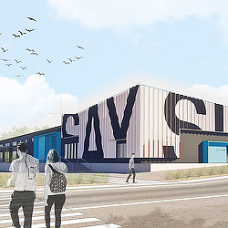 People walking on the street.