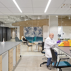 Researcher at Genmab headquarters lab