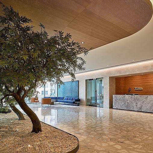 A tree in a room.