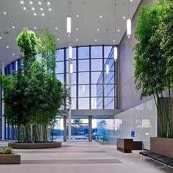 A building with a large glass window.