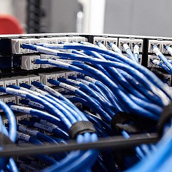 A close-up of a bunch of blue wires.