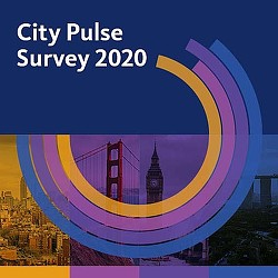 Chart, sunburst chart.