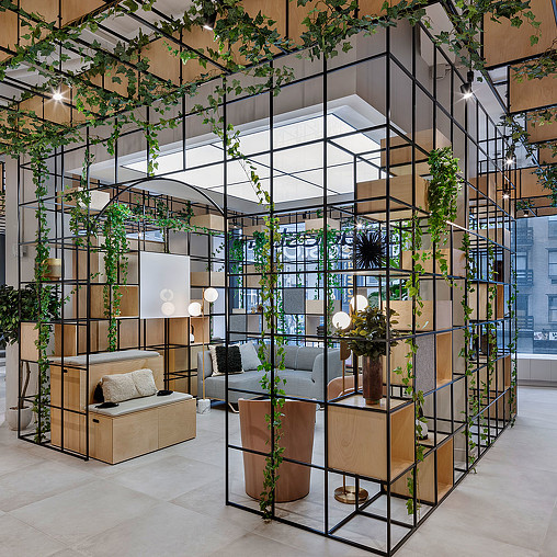 A room with plants and chairs.