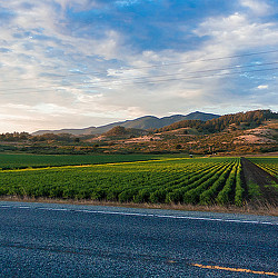 A road with grass and hills in the background.