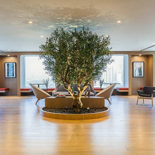 A tree in a room.