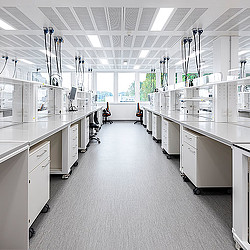 A large kitchen with white cabinets.