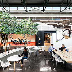 People sitting at tables outside.