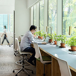 A person sitting at a desk using a laptop.