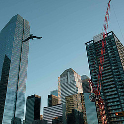 City of Calgary downtown buildings and tower crane. Credit: Amber Bracken | SF Chronicle.