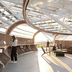 Employees working on NVIDIA outdoor terrace.