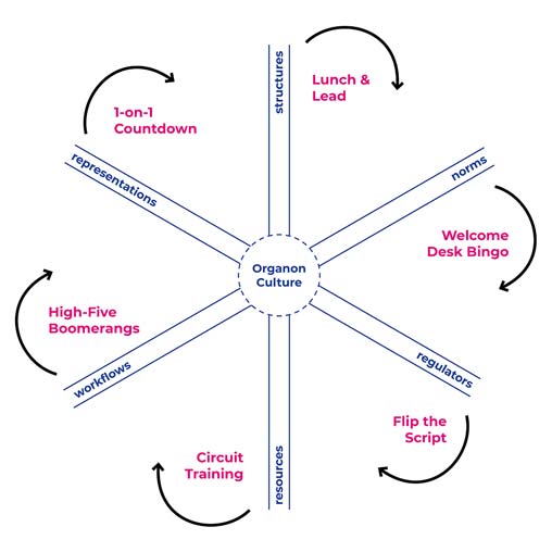 Organon The Model graphic