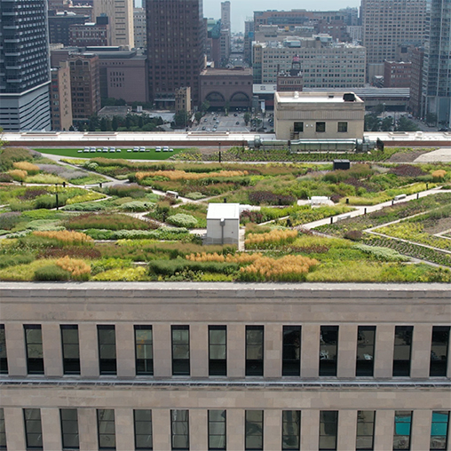 Chicago Post Office rooftop and cityscape.