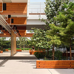 Fifth + Tillery breezeway with mass timber and greenery.