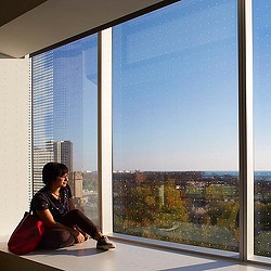 A girl sitting on a ledge looking out a bird-safe glass window.