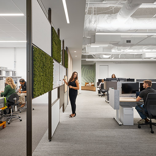NI pilot workplace with Maars living walls.
