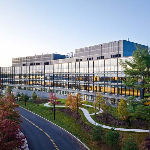 Exterior evening shot of 225 Wyman with walking path and trees along a road