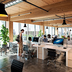 A group of people in an office.