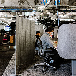 Meta noise reduction cubes at work stations.