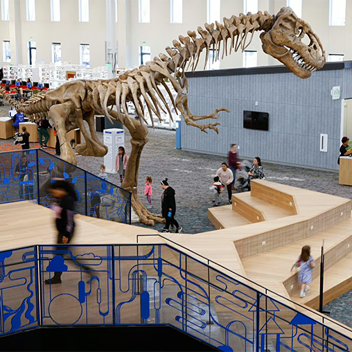 A skeleton of a dinosaur.