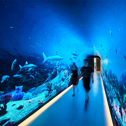 A man and woman walking through a large aquarium.