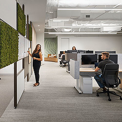 A woman standing in front of a man seated at a desk.